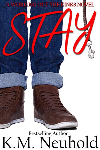 Book Cover Stay (Working Out The Kinks Book 1)