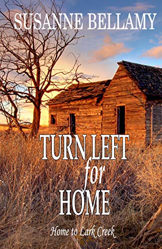 Book Cover Turn Left for Home: Small Town Romance and Suspense (Home to Lark Creek Book 3)