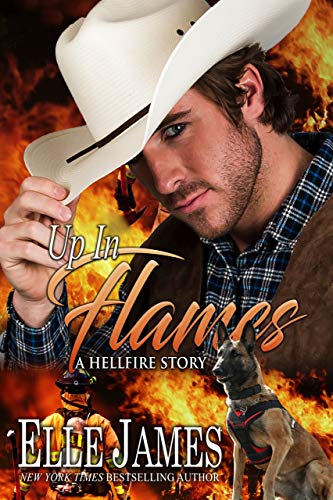 Book Cover Up In Flames (Hellfire Series Book 6)