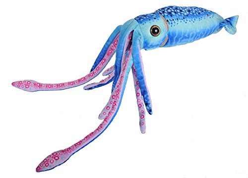 Book Cover Wild Republic Wr Print Squid Plush, Stuffed Animal, Plush Toy, Gifts for Kids, Blue, 22