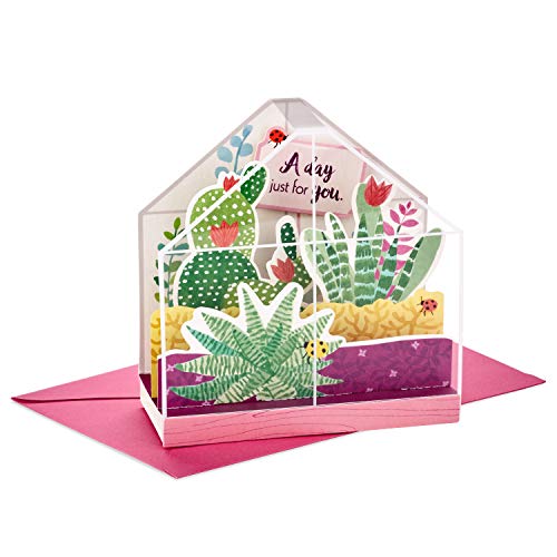 Hallmark Paper Wonder Displayable Pop Up Birthday Card (Succulents)