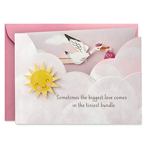 Hallmark Paper Wonder Paper Craft Baby Shower Card for Baby Girl (Stork)