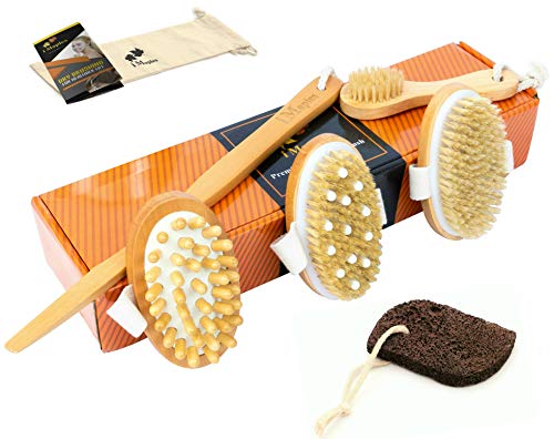 Book Cover 6 Piece Premium Dry Brushing Body Brush Kit – Exfoliates Body And Face, Improves Skin Health & Beauty, Removes Dead Skin – Natural Bristles, Cellulite & Lymphatic Scrubber, Massager, Pumice Stone
