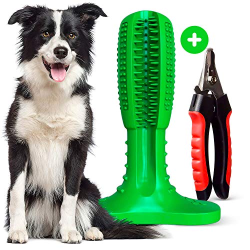 DoggyDental Dog Toothbrush Chew Toy for Easy Teeth Cleaning with Nail Clippers for Grooming
