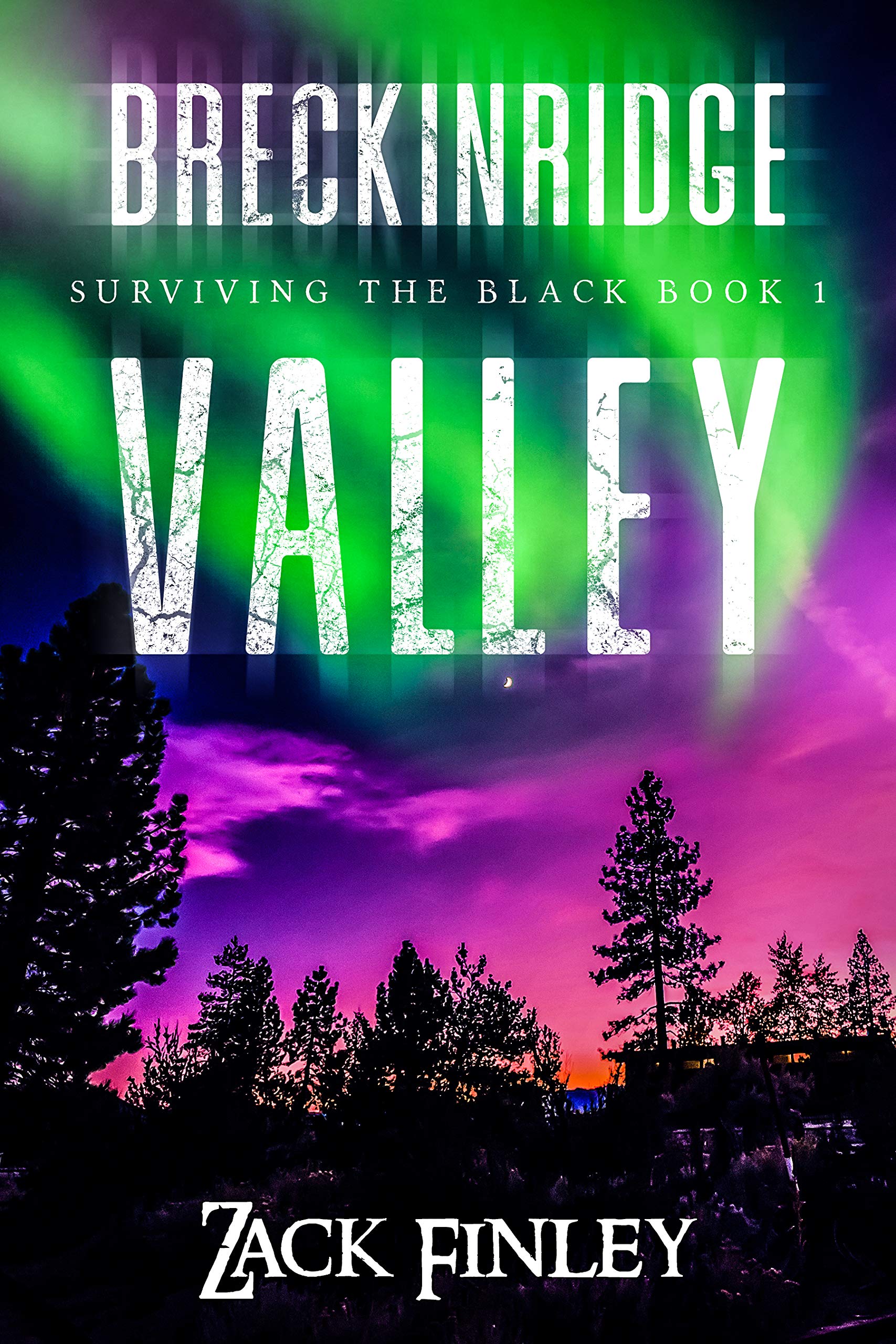 Book Cover Breckinridge Valley: Surviving the Black--Book 1 of a Post-Apocalyptical series