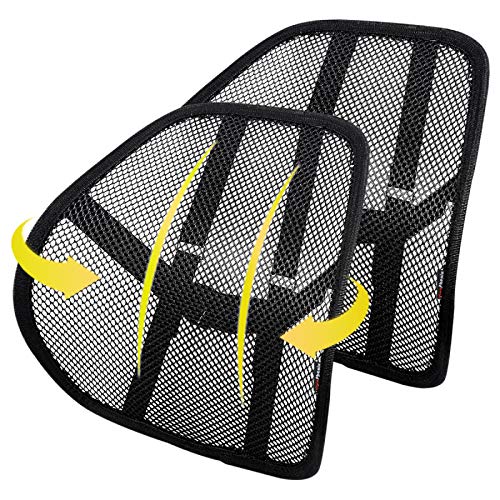 Book Cover King phenix Lumbar Support With Double-Layer Mesh, Mesh Back Support Cushion For Car Seat Office Chair By Kingphenix (Black, 2 Pack)
