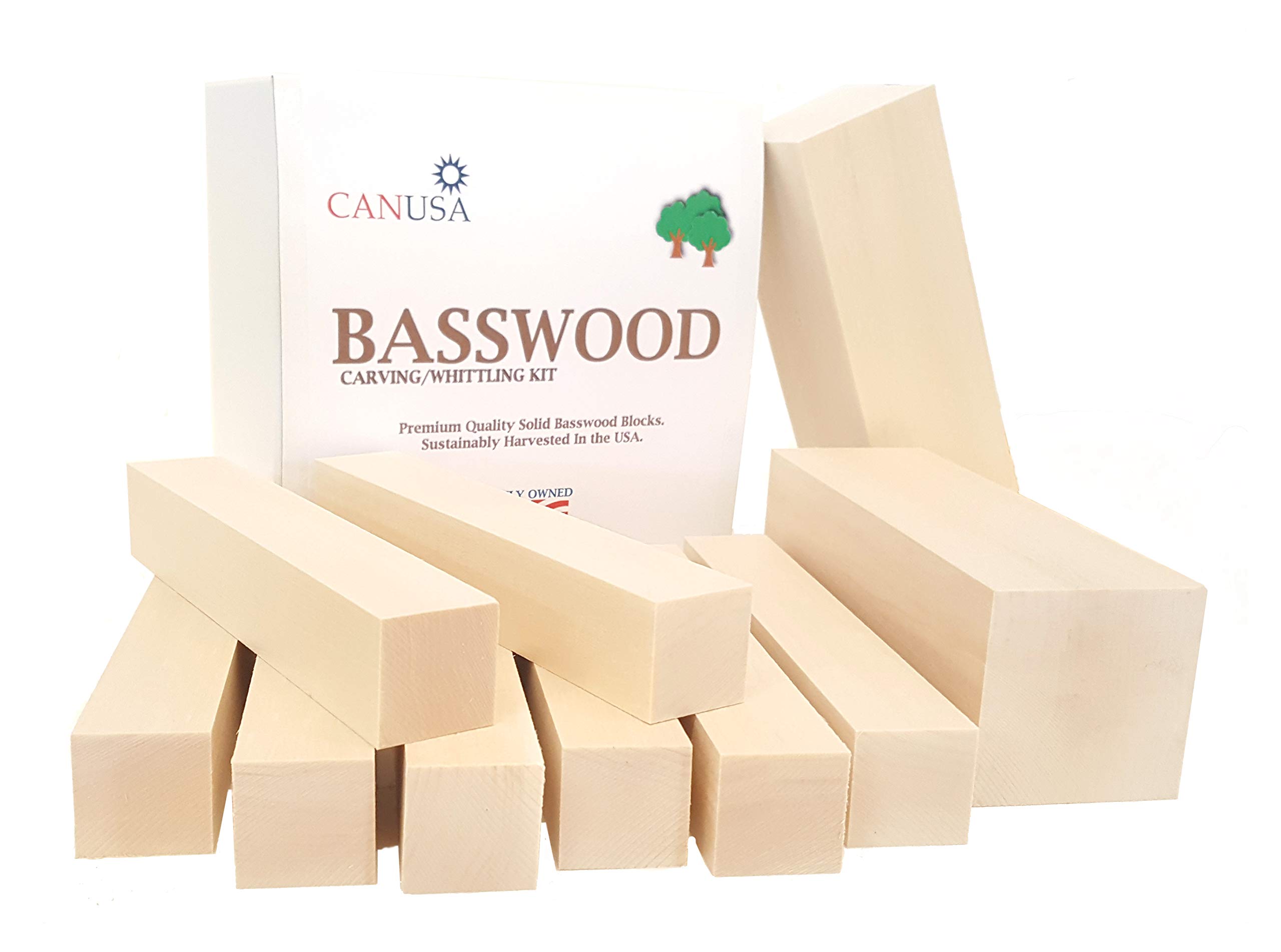 Book Cover CanUsa Brand Basswood Carving Wood Blocks from Wisconsin USA. Whittling Wood Carving Wood Blocks for Carving. Contains Two Large Basswood Carving Blocks and Eight Small.