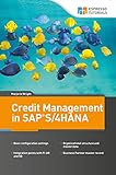 Credit Management in SAP S/4HANA