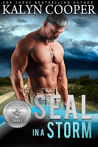 Book Cover SEAL in a Storm (Silver SEALs Book 5)