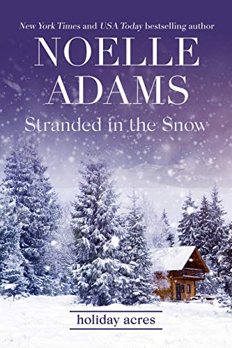 Stranded in the Snow (Holiday Acres Book 2)