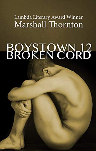 Boystown 12: Broken Cord (Boystown Mysteries)