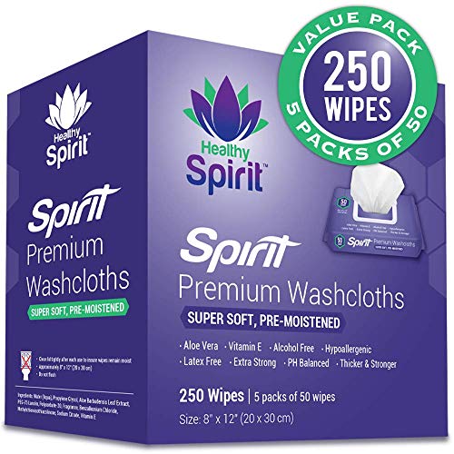 Book Cover Healthy Spirit Disposable Washcloths 250 Count - Adult Wipes Extra Large, Adult Wipes for Incontinence & Cleansing, 8