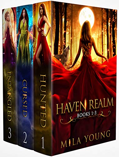 Book Cover Haven Realm, Book 1-3: Fairy Tale Retellings
