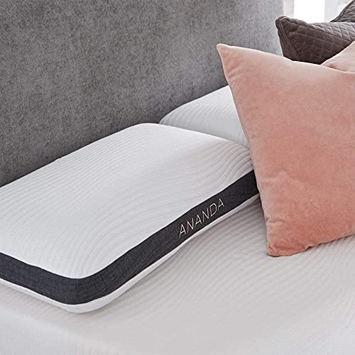 Book Cover Blissful Nights Pearl and Gel Memory Foam Pillow Mid Loft Pillow (Queen)