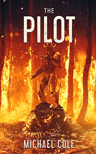 Book Cover The Pilot