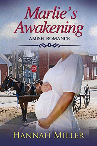 Book Cover Marlie's Awakening