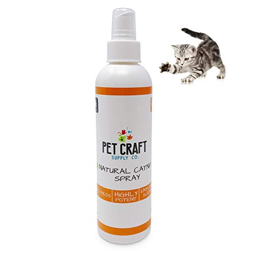 Book Cover Pet Craft Supply Premium Maximum Potent All Natural Catnip for Cats USA Grown & Harvested 8 oz Value Spray Bottle Great for Training Redirecting Bad Behaviors 8oz