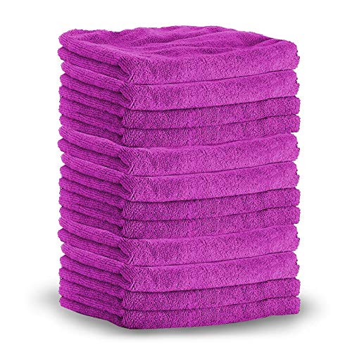 SHINE ARMOR PROFESSIONAL GRADE Super Absorbent PREMIUM MICROFIBER TOWELS for Car Cleaning & Auto Detailing - Wax, Buff, Wash, Dry, & Polish Colors May Vary (10-PACK)