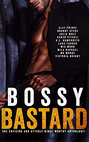 Book Cover Bossy Bastard: A Romance Anthology