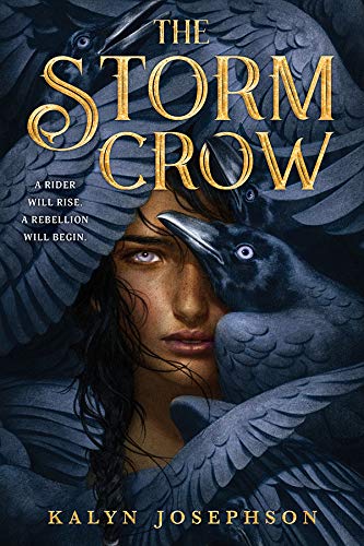 Book Cover The Storm Crow