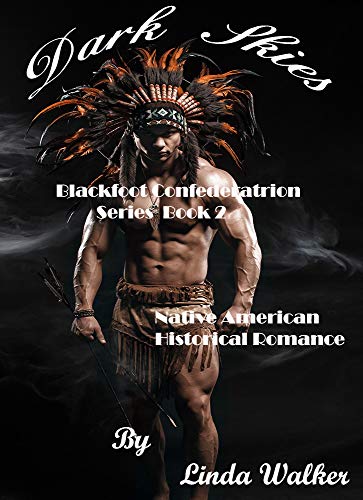 Book Cover Dark Skies (The Blackfoot Confederation Series Book 2)