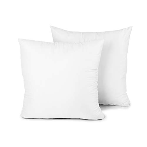 Edow Throw Pillow Insert, Set of 2 Down Alternative Polyester Square Form Decorative Pillow, Cushion,Sham Stuffer. (White, 28x28)