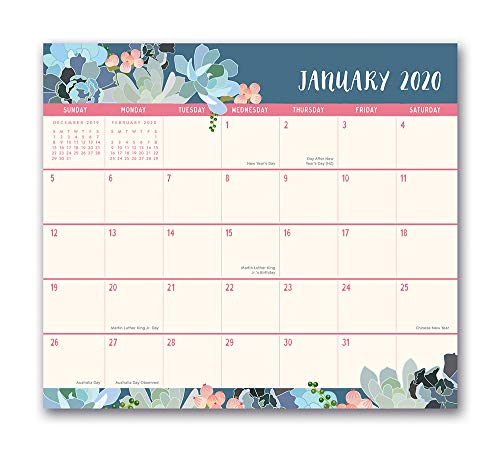 Orange Circle Studio 2020 Magnetic Monthly Calendar Pad, Succulent Paradise