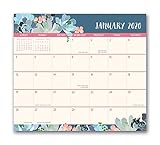 Orange Circle Studio 2020 Magnetic Monthly Calendar Pad, Succulent Paradise