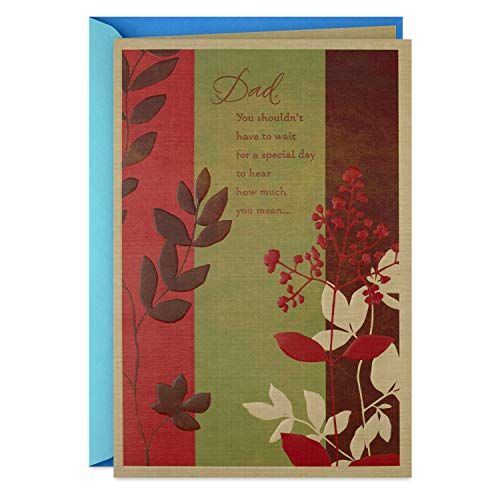 Hallmark Fathers Day Card for Dad (Special Day)