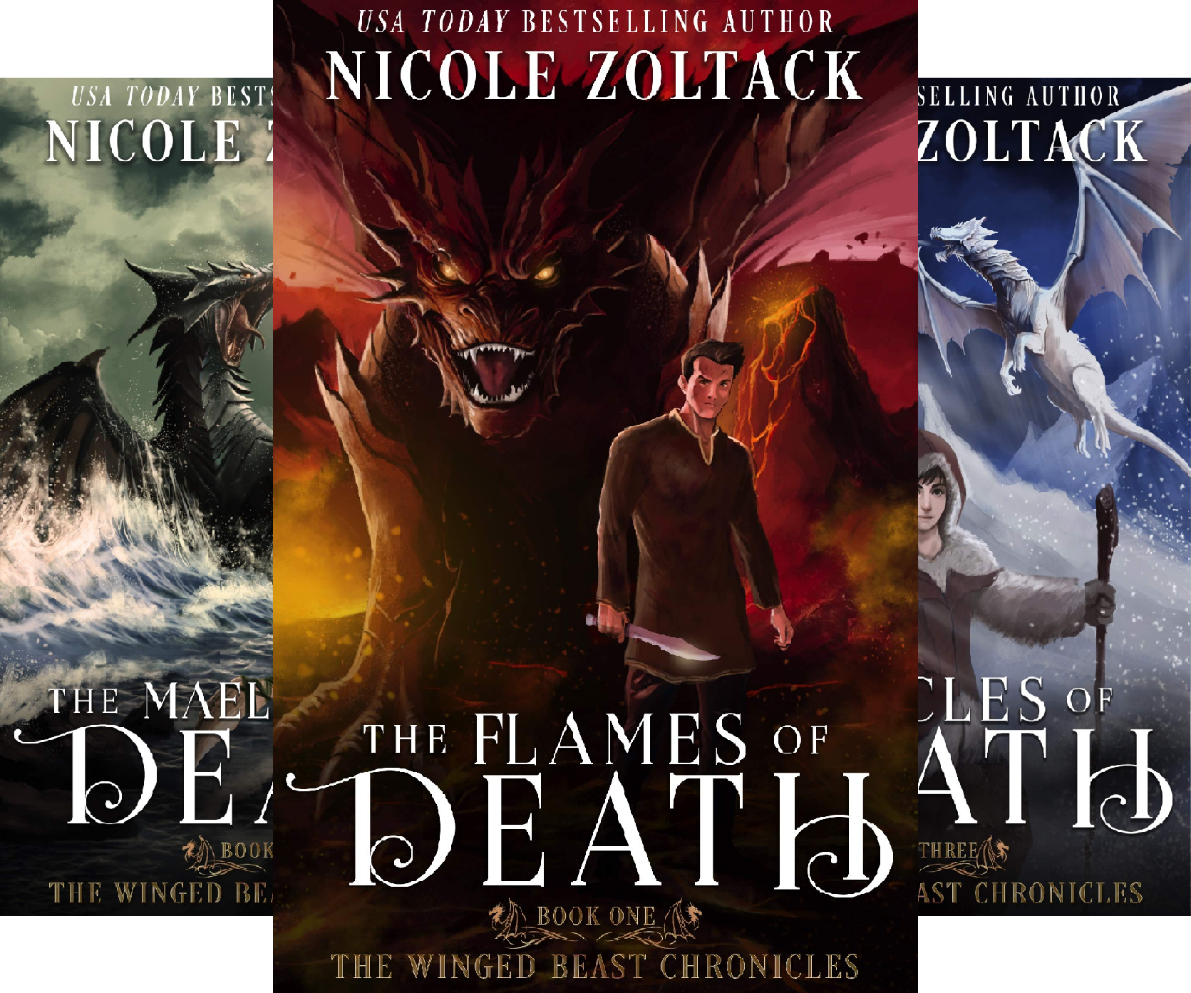 Book Cover The Winged Beast Chronicles (4 Book Series)