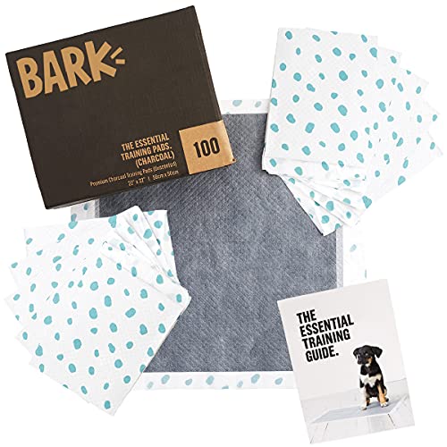 Barkbox Odorless Puppy Pads | 100 Count | Quick Dry, Ultra Absorbent Activated Charcoal Dog Pee Pads, Pet Training Accessories for Housebreaking, Pheromone Attractant | Charcoal | Regular