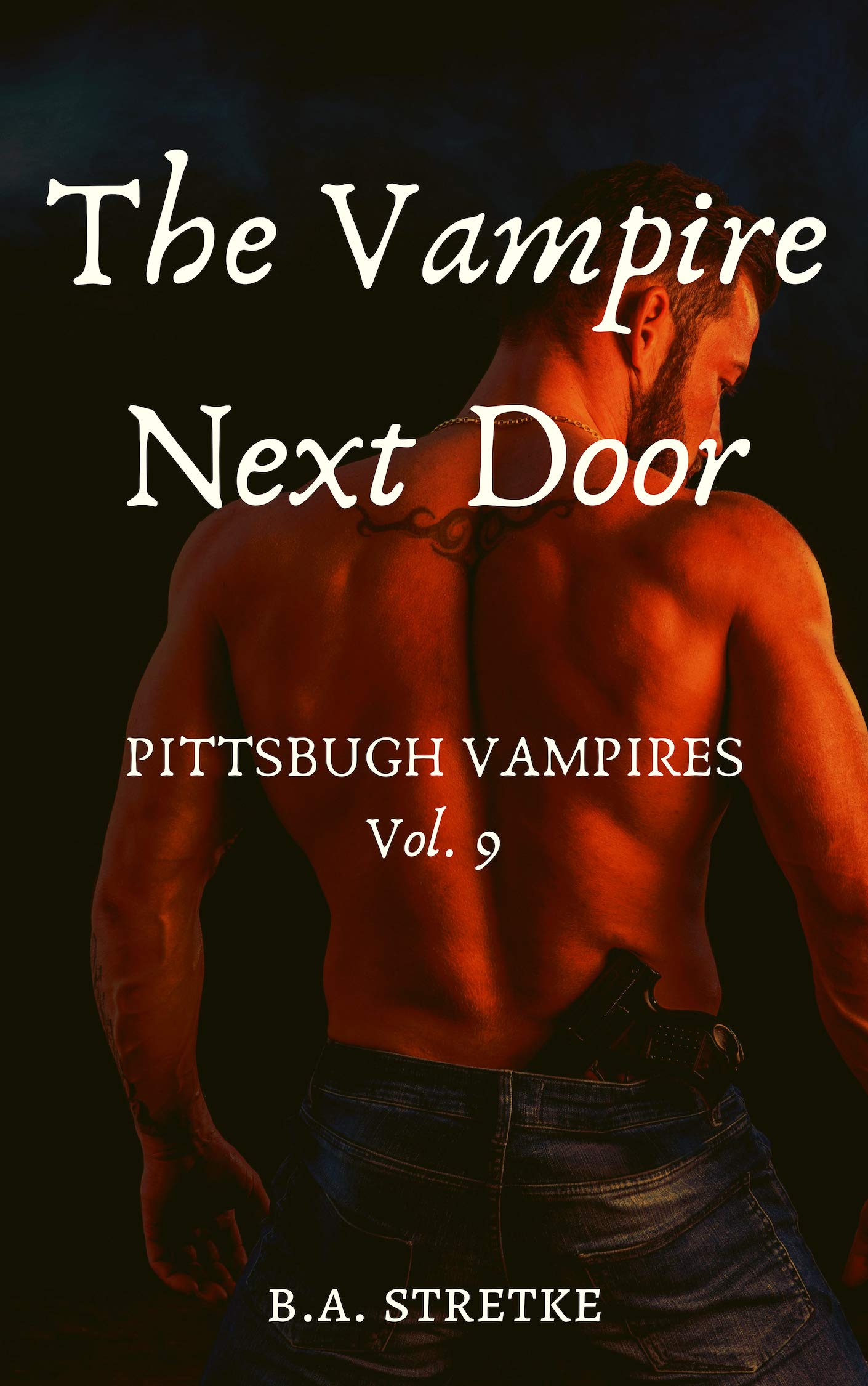 Book Cover The Vampire Next Door: Pittsburgh Vampires Vol. 9