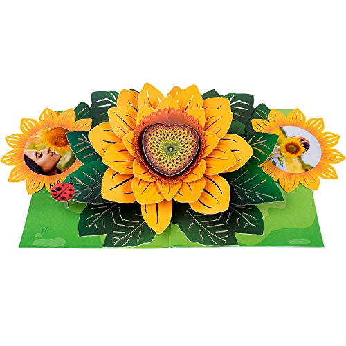 Paper Love Sunflower Pop Up Card, 3D Popup Greeting Cards, For Valentines Day, Mothers Day, Fathers Day, Graduation, Spring, Birthday, Any Occasion | With Message/Photo Insert | 5" x 7"