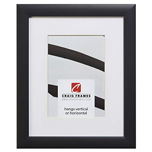 Craig Frames 1WB3BK 20 x 24 Inch Black Picture Frame Matted to Display a 16 x 20 Inch Photo