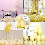 Party Pastel Balloons 100 pcs 10 inch Macaron Candy Colored Latex Balloons for Birthday Wedding Engagement Anniversary Christmas Festival Picnic or any Friends & Family Party Decorations-pastel yellow