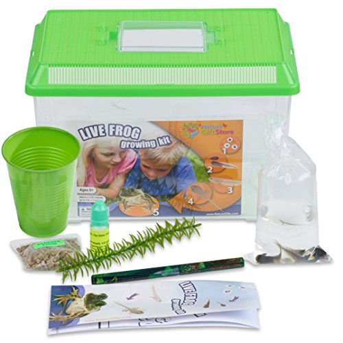 Book Cover Nature Gift Store Tadpole to Frog Growing Kit with 2 Live Tadpoles Sent with Kit