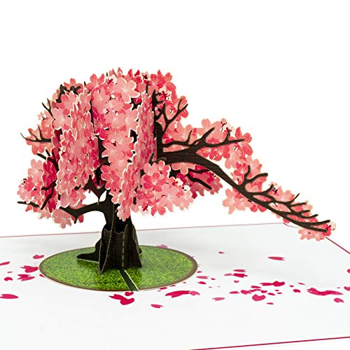 Paper Love Cherry Blossom Pop Up Card, 3D Popup Greeting Cards, For Mothers Day, Graduation, Spring, Valentines Day, Wedding, Anniversary, Birthday, Any Occasion