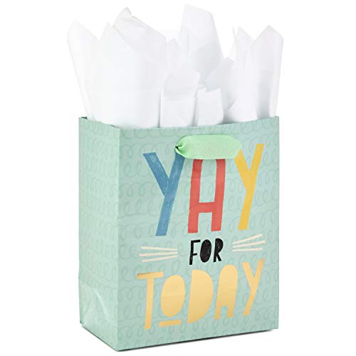 Hallmark 6" Small Gift Bag with Tissue Paper (Yay For Today) for Birthdays, Graduations, Weddings, Retirements or Any Occasion