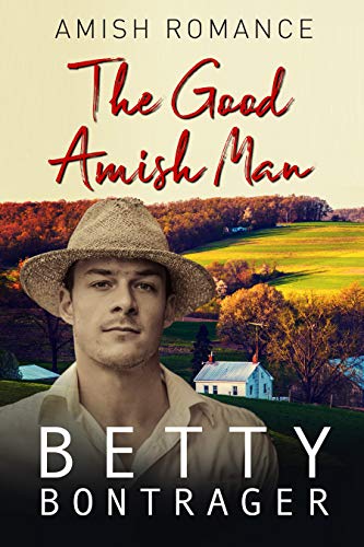 Book Cover The Good Amish Man