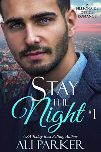 Book Cover Stay The Night Book 1