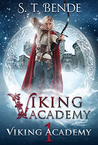 Book Cover Viking Academy: Viking Academy
