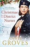 Christmas for the District Nurses (The District Nurse, Book 3)