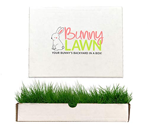 Book Cover Bunny Lawn Fresh Grass Mat for Your Rabbit, 12 x 9