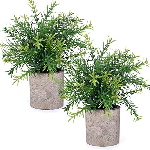 Book Cover CEWOR 2pcs Artificial Mini Potted Plants Faux Rosemary Fake Plastic Bamboo Leaves for Bathroom Shelf Home Office Desk Room Decoration