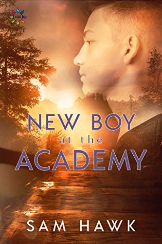 Book Cover New Boy at the Academy (Tales from the Academy Book 1)