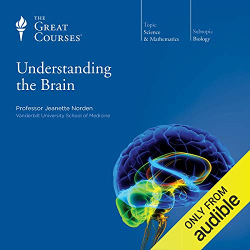 Understanding the Brain