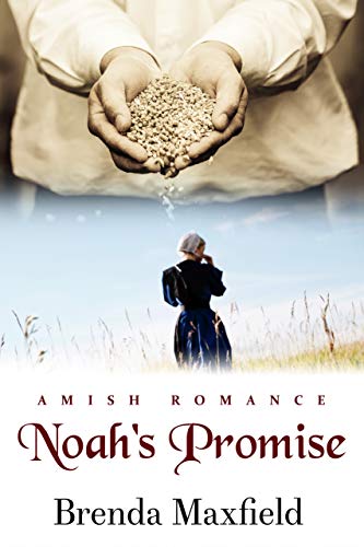 Book Cover Noah's Promise (Hannah's Story Book 2)