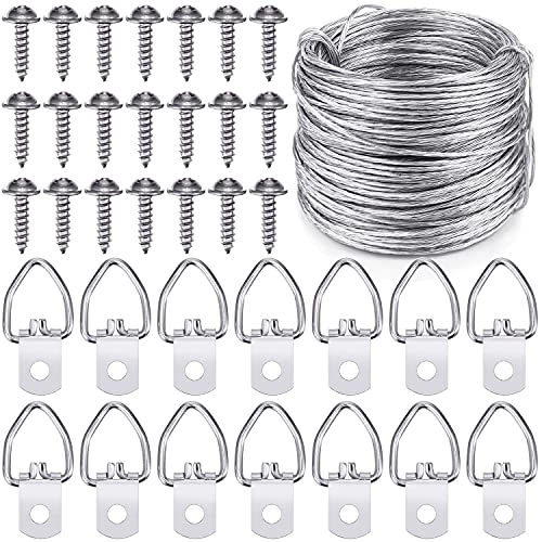 EAONE Picture Hanging Kit, Including Picture Hanging Wire (100 Feet) and 70 Pieces D-Ring Picture Hangers with 70 Silver Padded Screws
