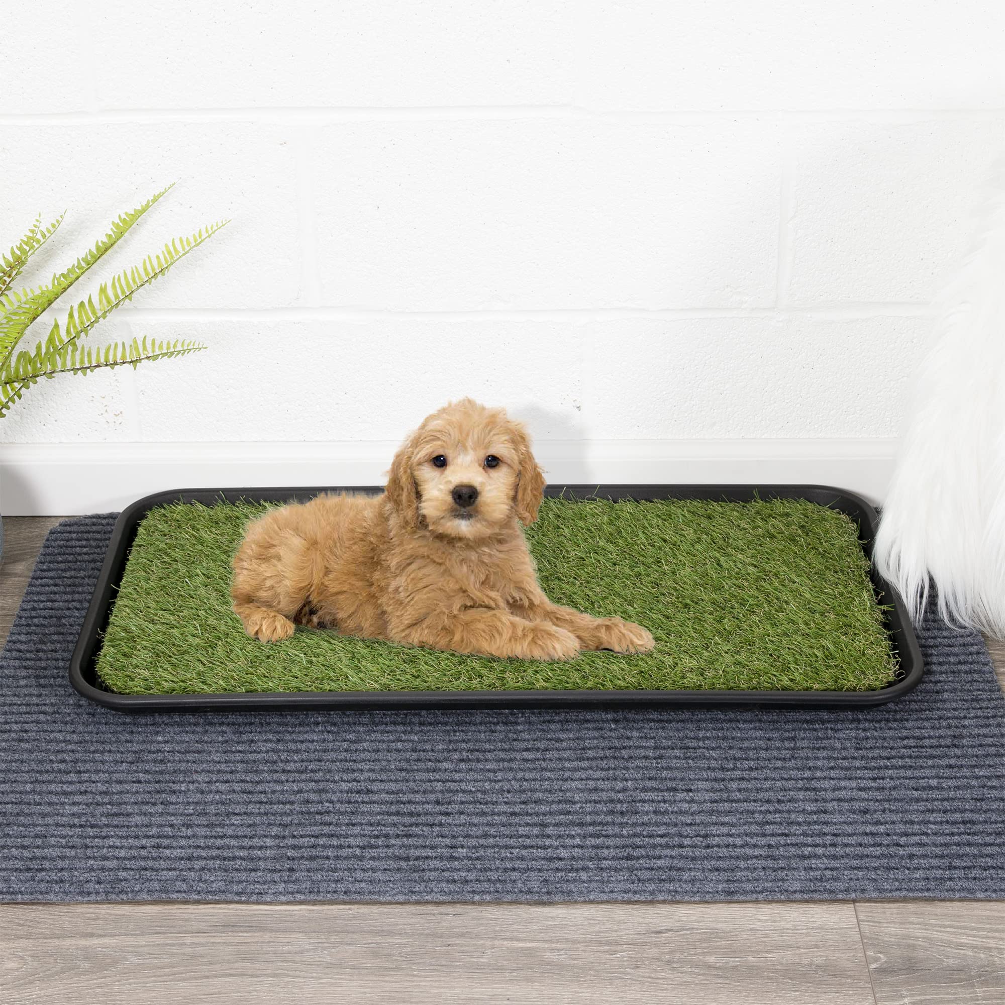 Indoor/Outdoor Waterproof Solid Design Non-Slip Rubber 15" x 30" Utility Pet Tray for Entryway, Backyard, Garage, 15" x 30", Green Green 15" x 30" Solid