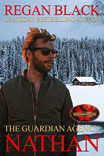 Nathan: Brotherhood Protectors World (The Guardian Agency)